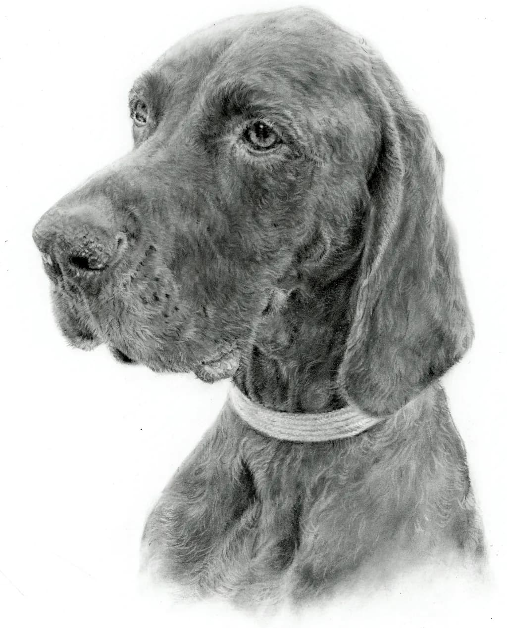 Baxter’s Gaze