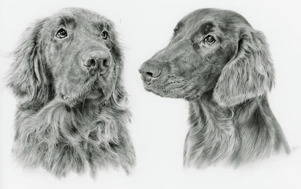 Dicks Dogs Portraits