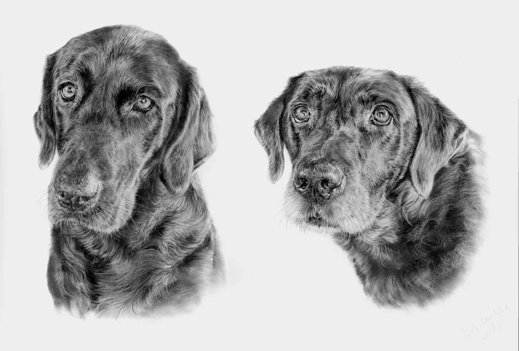 Huxley and Worthy
