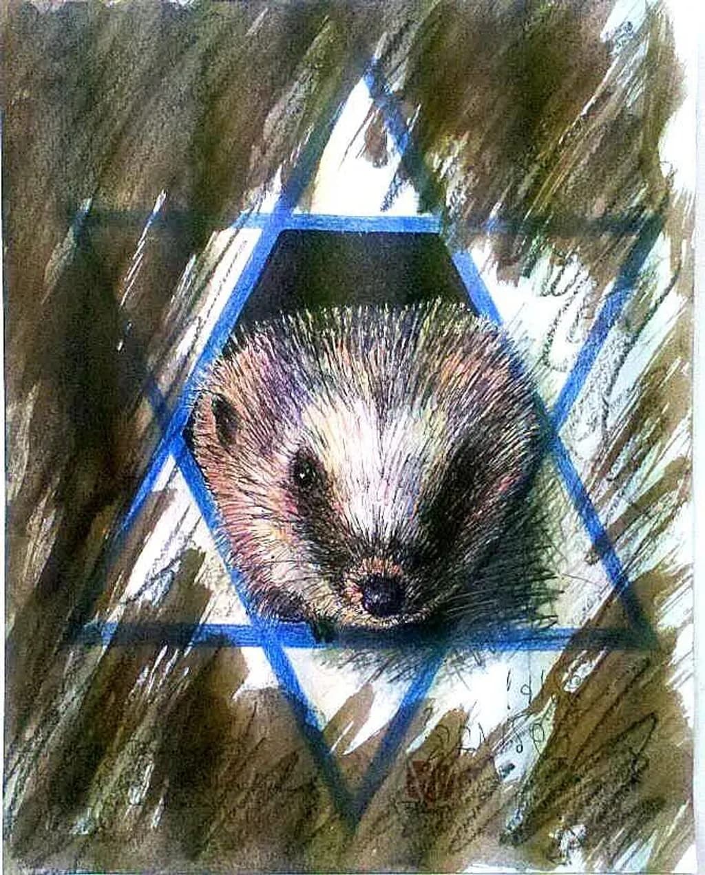 Hedgehog Star