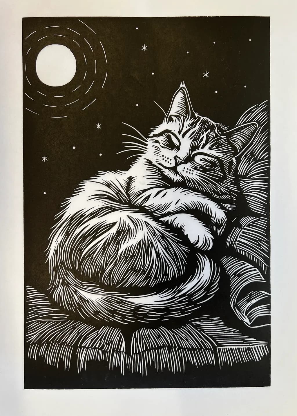 Moonlit Slumber