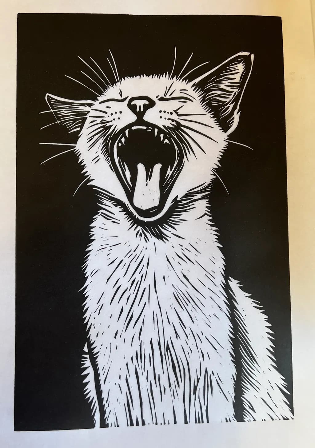 Yawning Cat