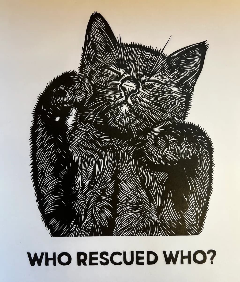 Who Rescued Who?