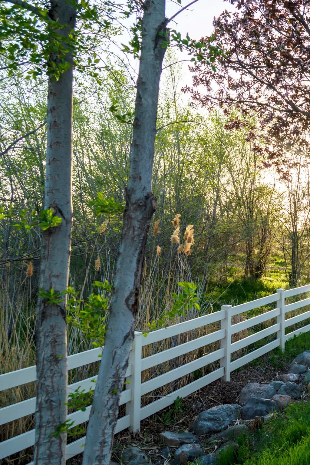 Tranquil Fenced Landscape