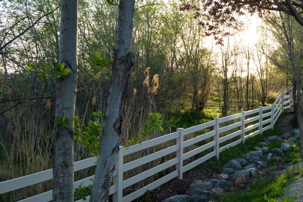 Sunlit Pathway
