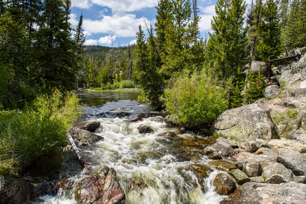 Mountain Stream