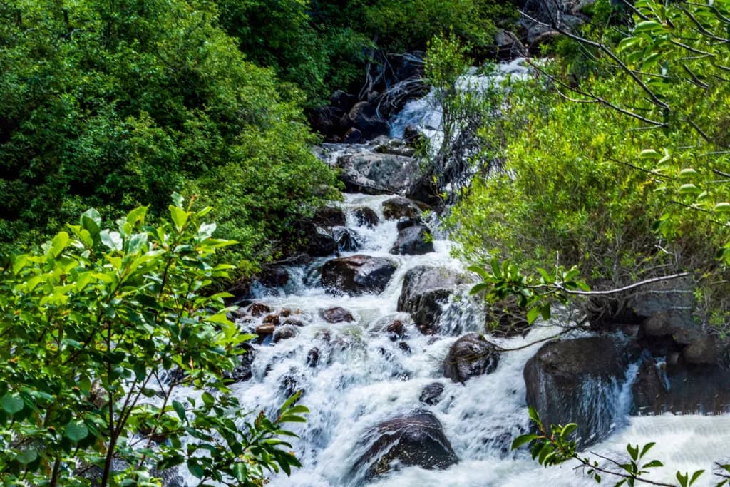 Mountain Stream