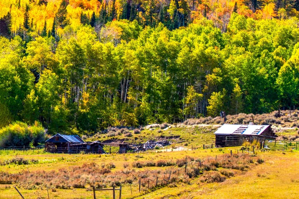Autumn Homestead