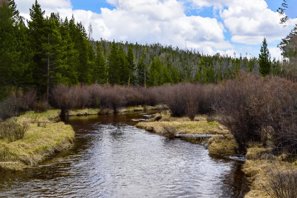 Mountain Stream Serenity