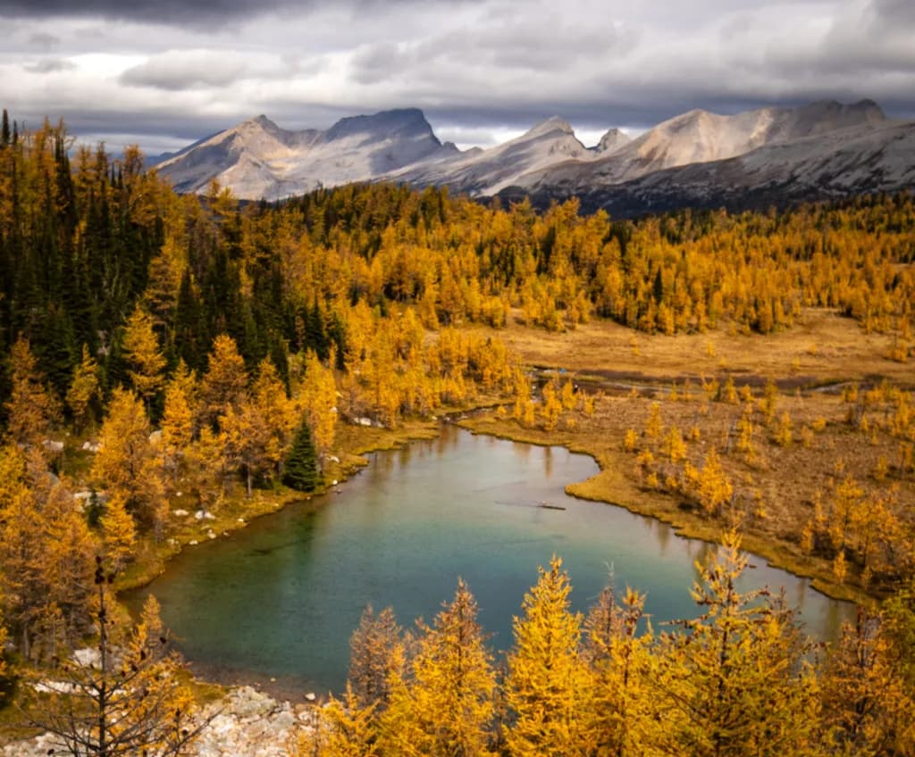 Whispers of Autumn: A Serene Reflection in Nature's Embrace