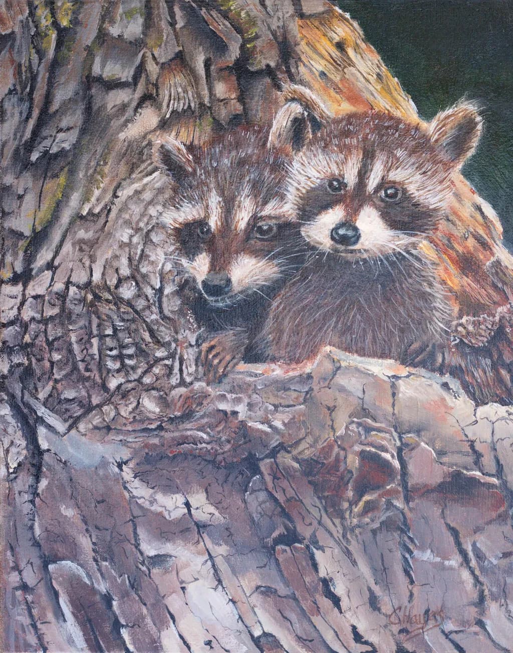 Whimsical Whispers: Two Raccoons Nestled in Nature's Embrace