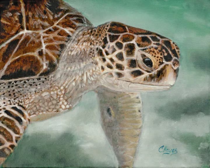 Serene Journey: The Graceful Sea Turtle in Tranquil Waters