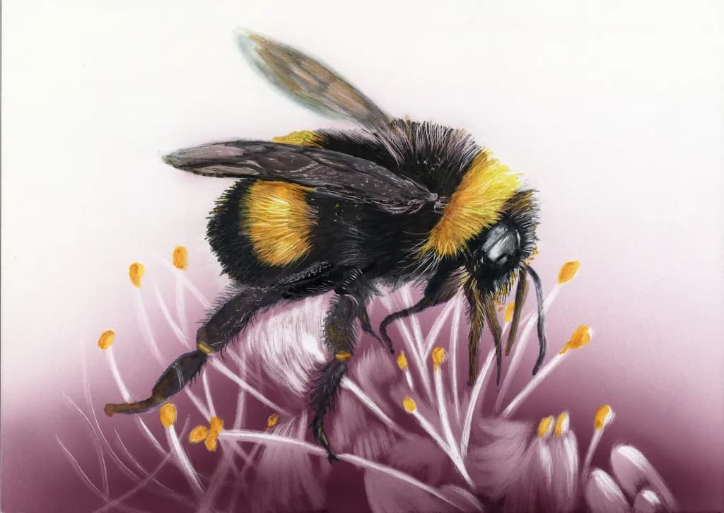 Whispers of Nature: The Bumblebee's Dance Among Blossoms