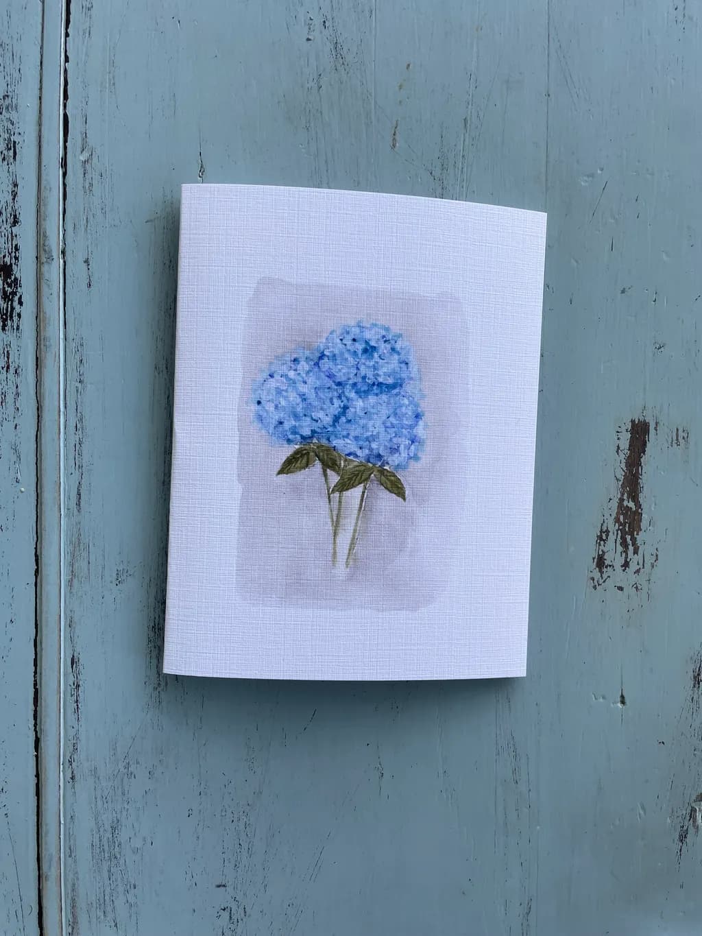 Whispers of Blue: A Delicate Hydrangea Embrace