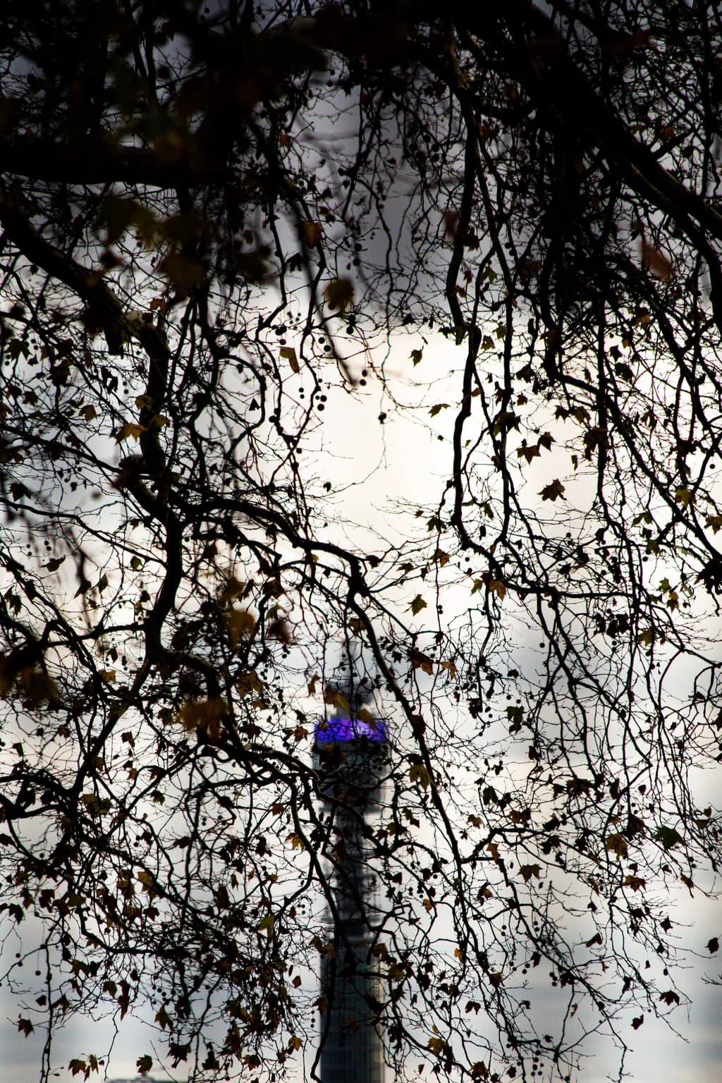 Urban Veil