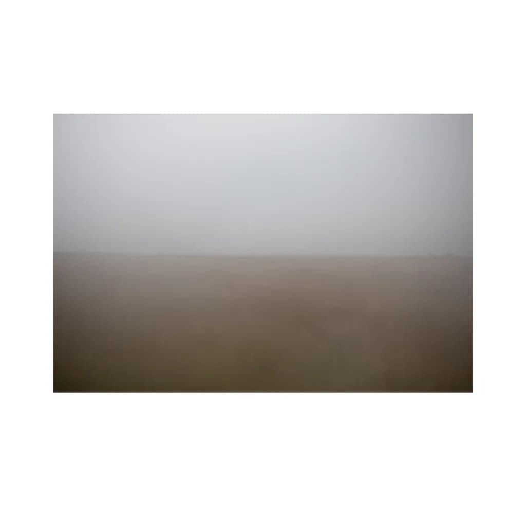 Mistbound Horizon