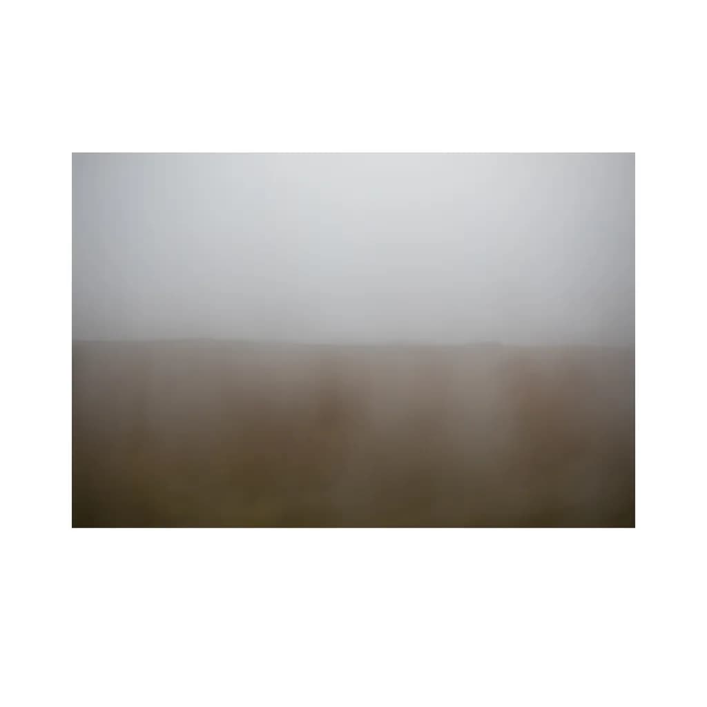 Muted Horizon