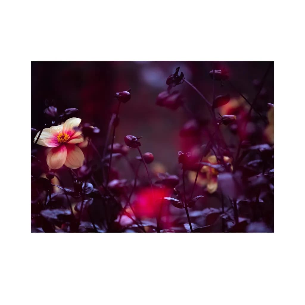 Fading Glow
