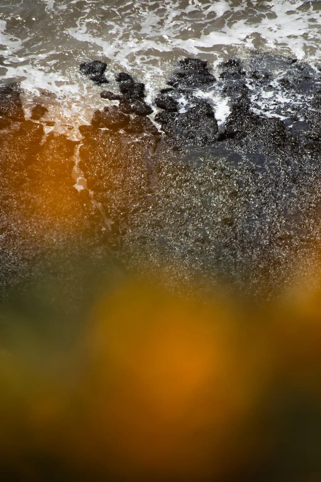 Clifftop Downs III