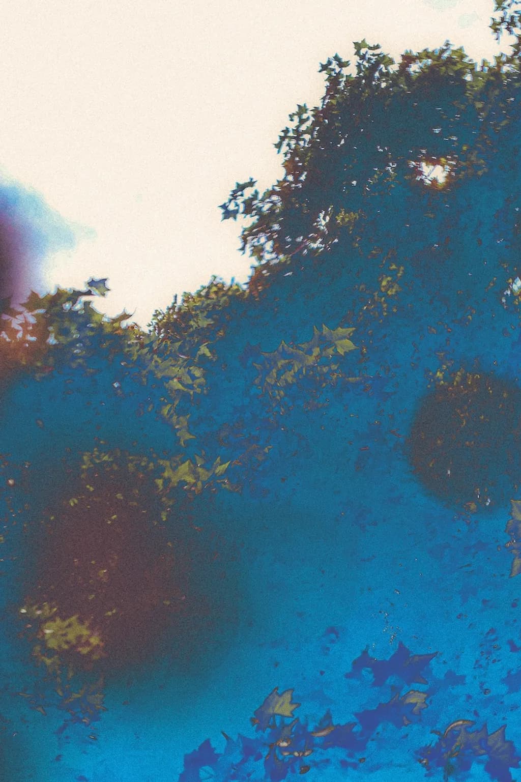 Kew Inverted Wilds