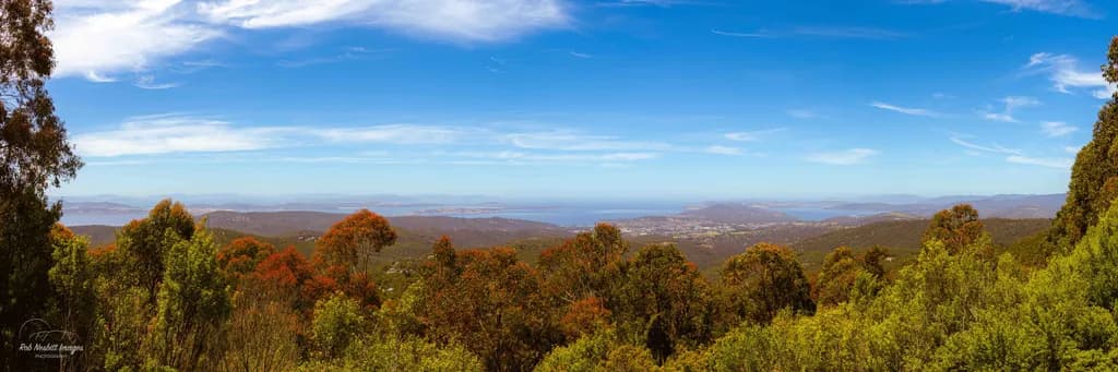 Coastal Vista