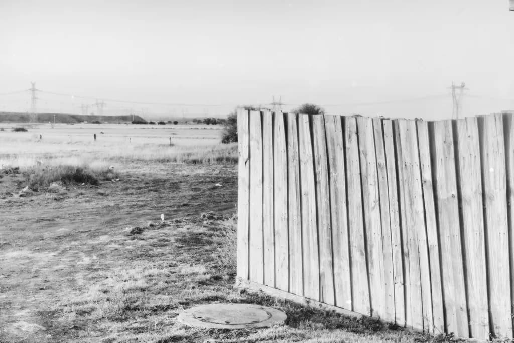 Whispers of the Open Field: A Black and White Journey Beyond the Fence