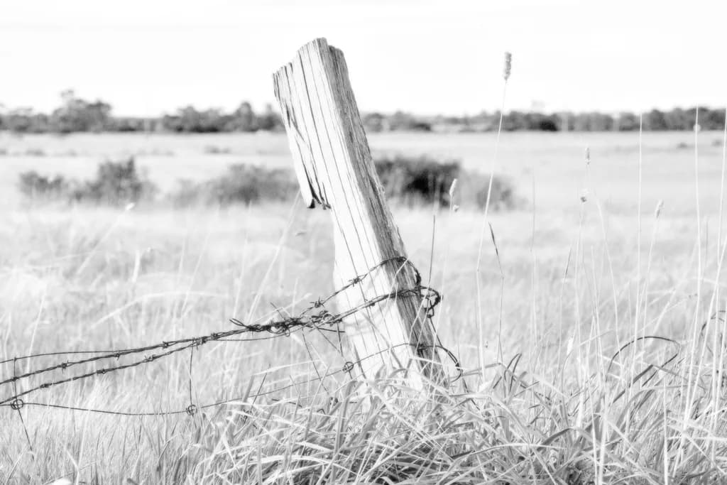 Whispers of the Past: A Weathered Post in a Sea of Grass