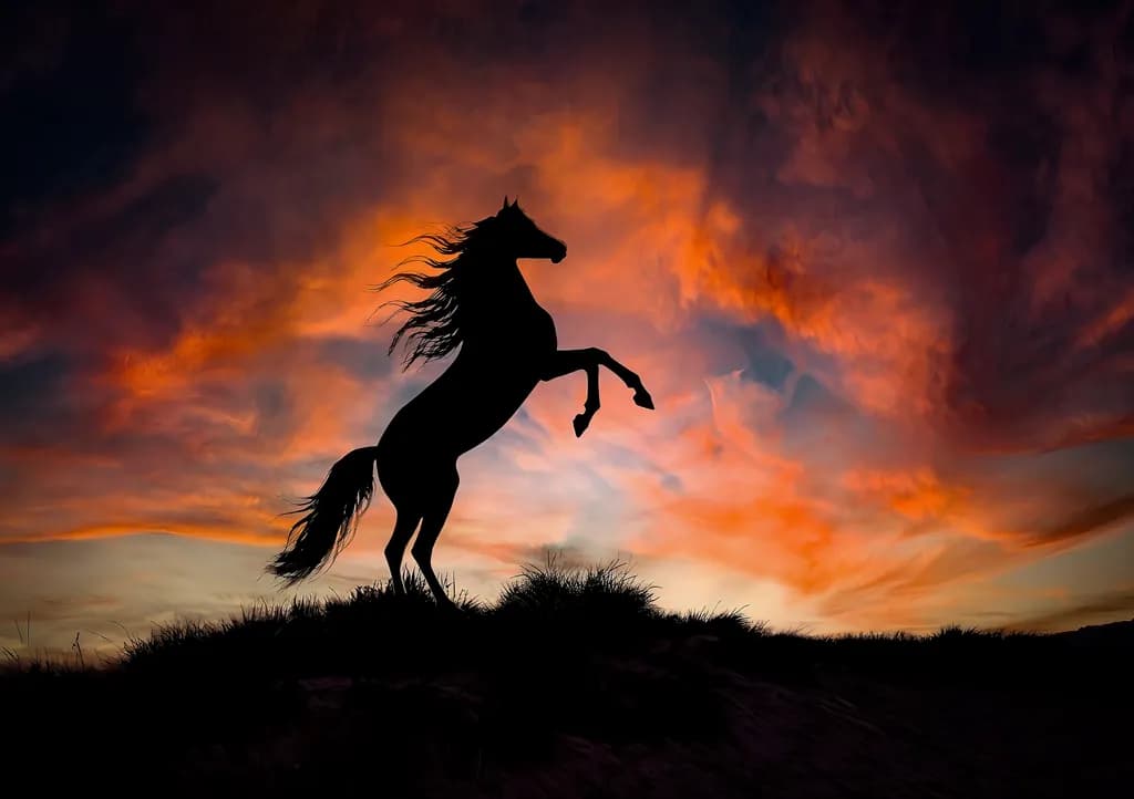 Sea Breeze Stallion