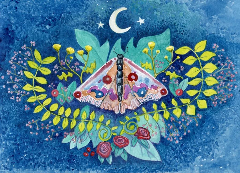 Moonlit Moth