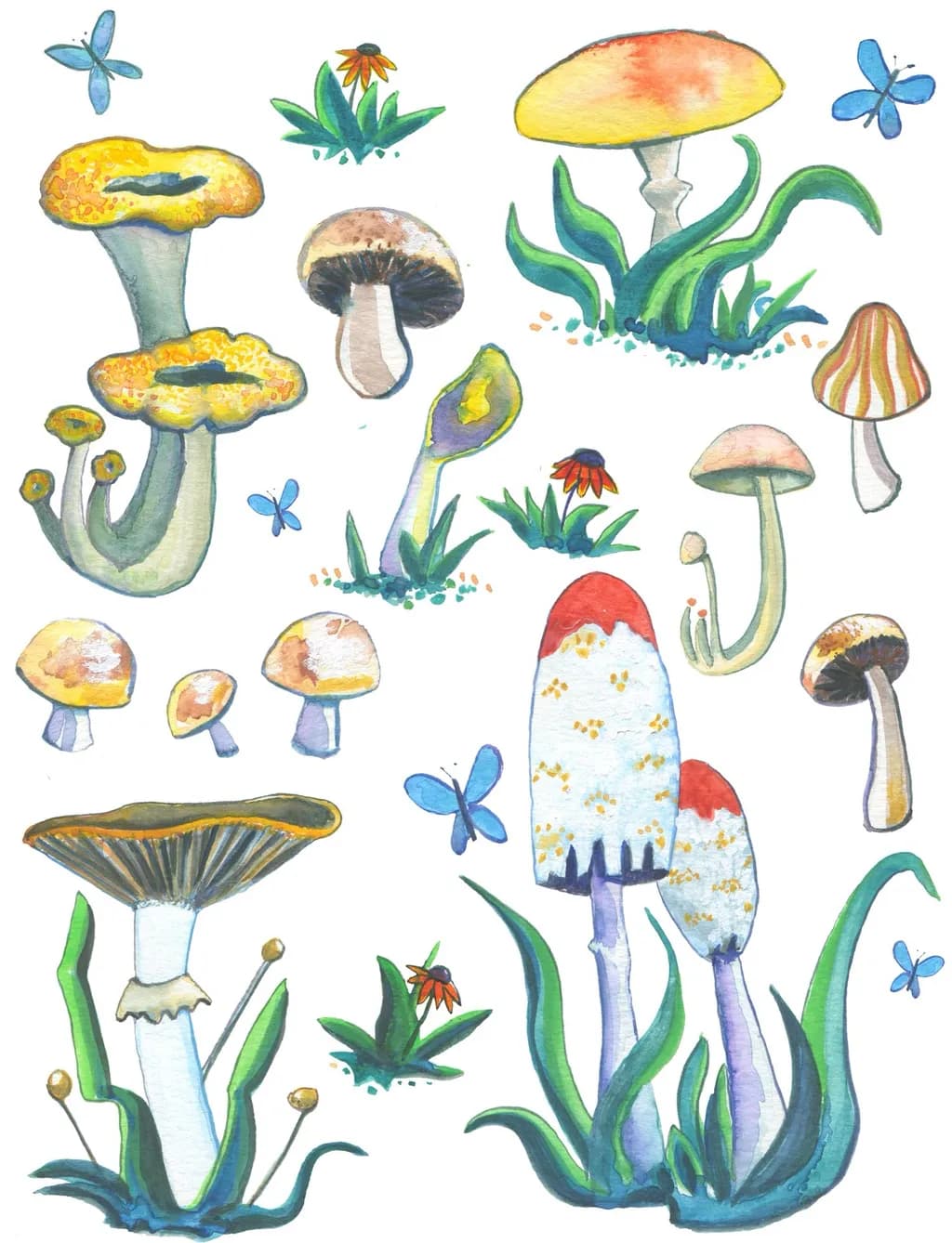 Mushroom Medley