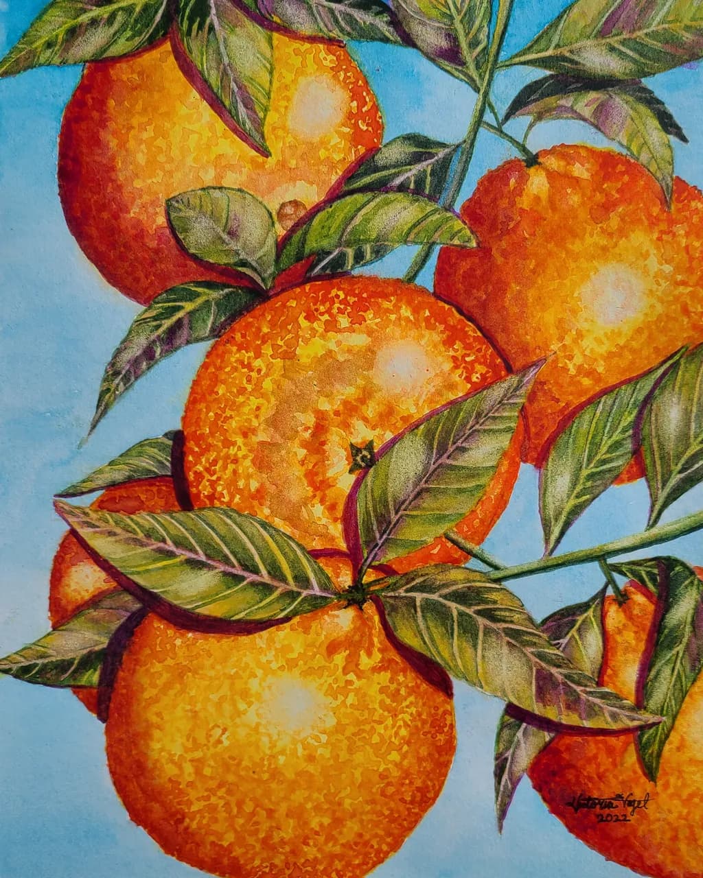Vibrant Citrus Harmony: A Watercolor Celebration of Nature's Oranges and Leaves
