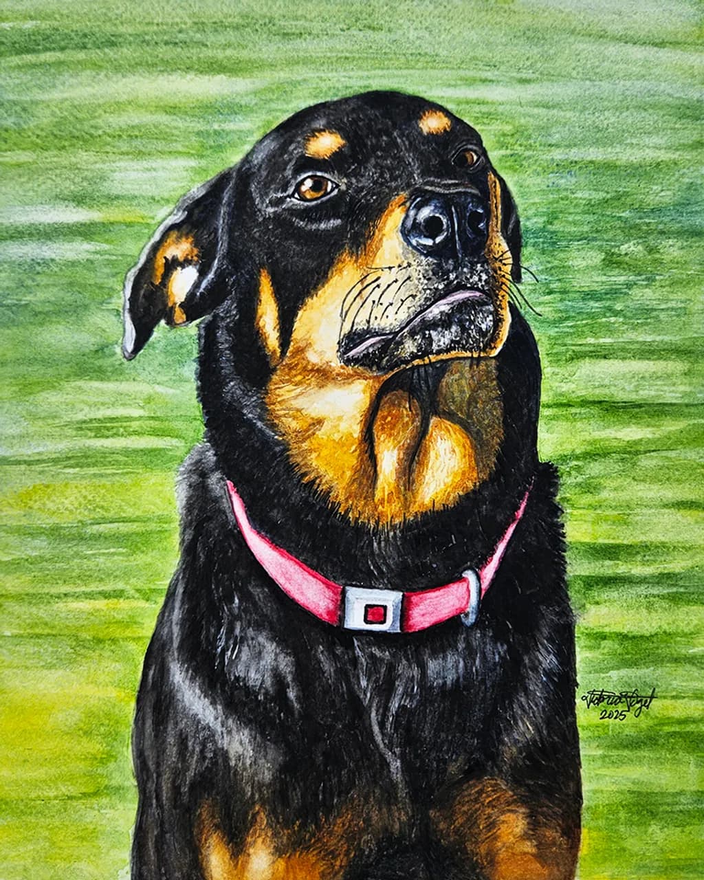 Rottweiler Portrait
