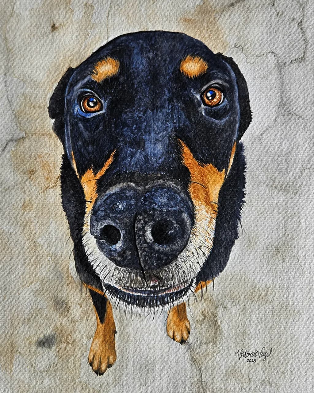 Bertie's Gaze
