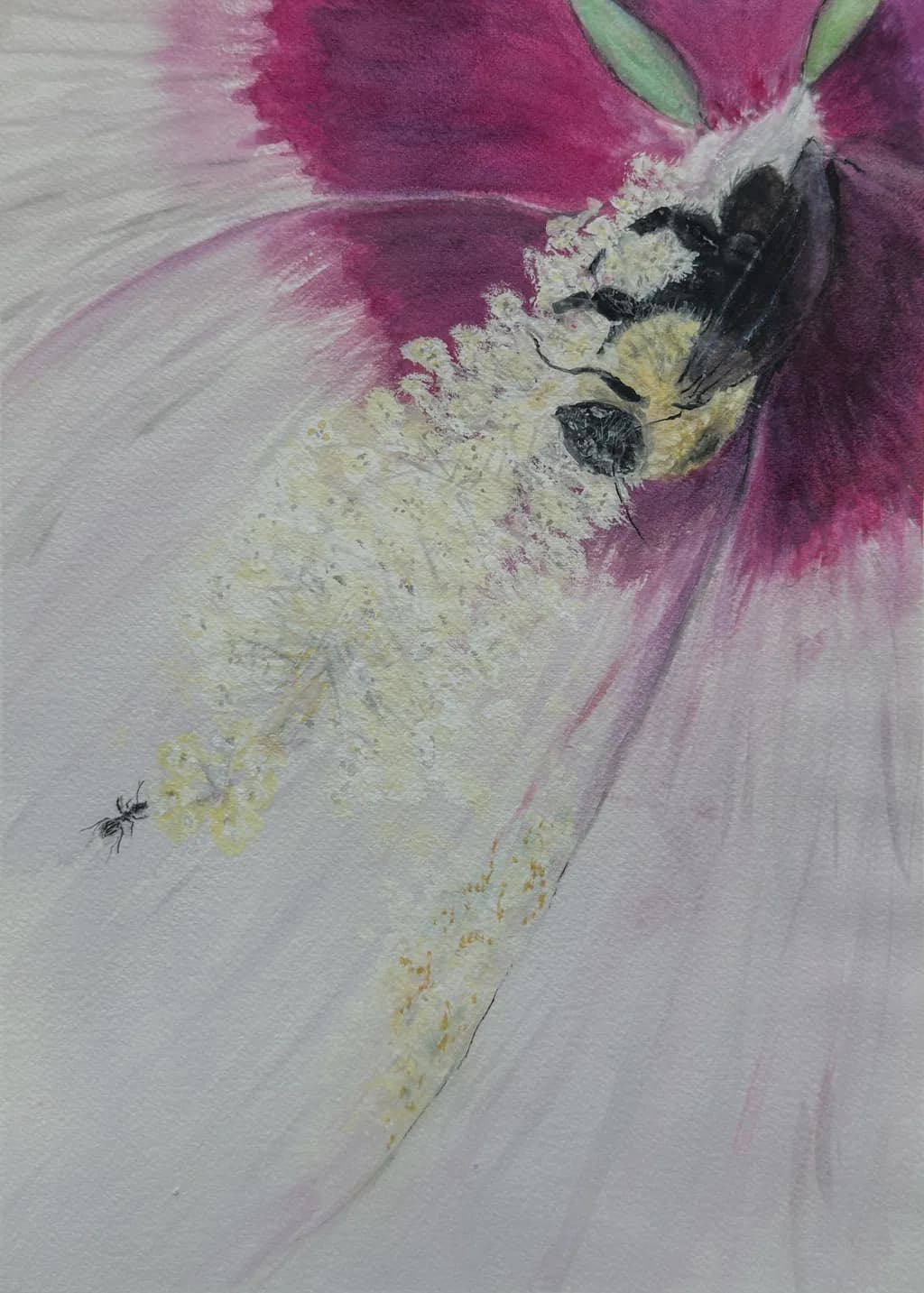 Whispers of Pollination: A Dance Between Flower and Bee
