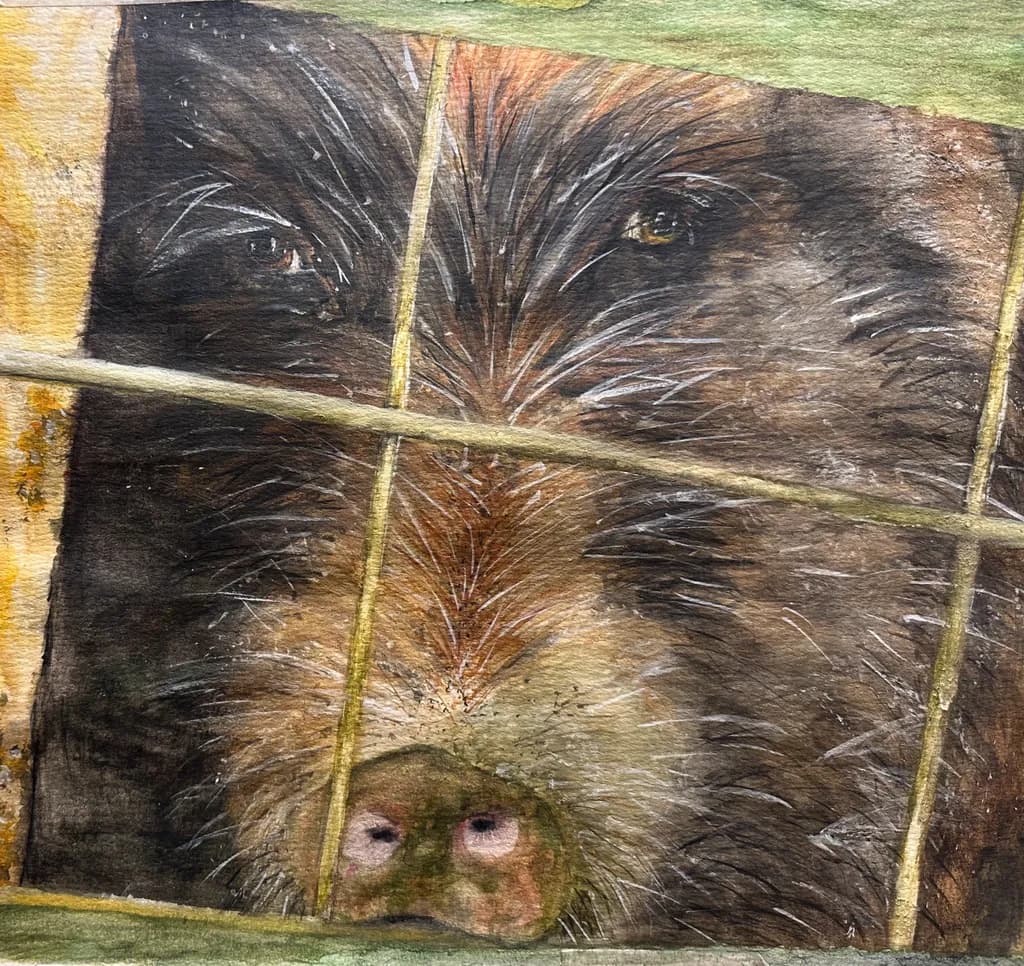 Behind the Bars: A Reflection of Wildness and Vulnerability