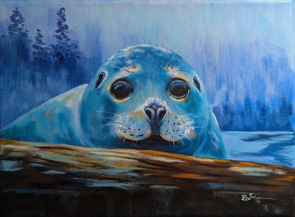 Curious Seal