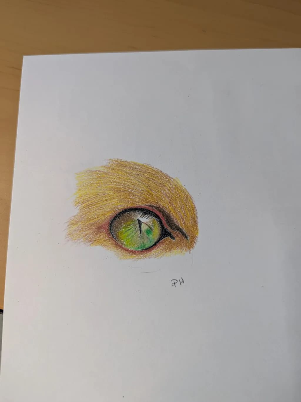 Verdant Gaze