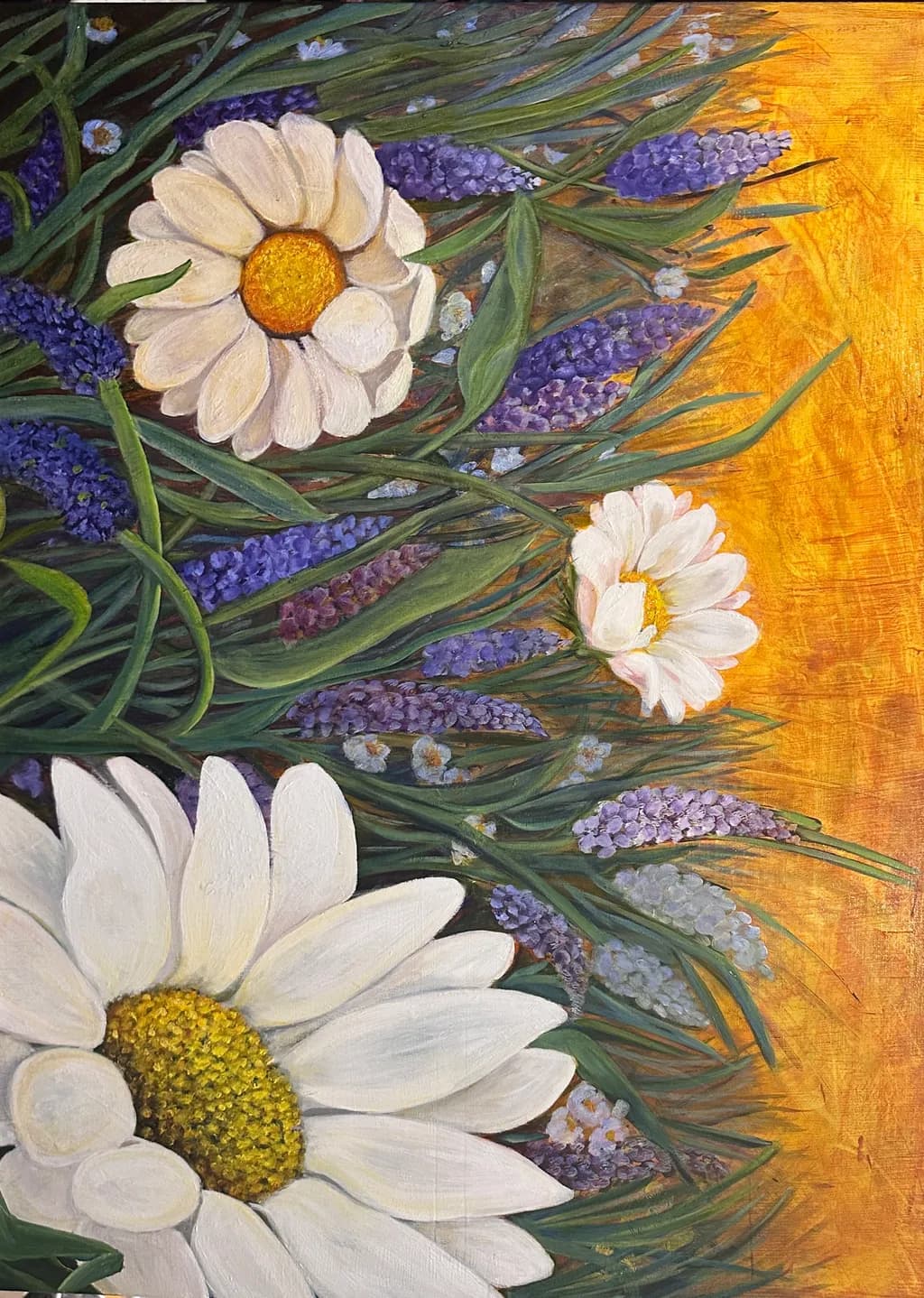 Daisy Meadow