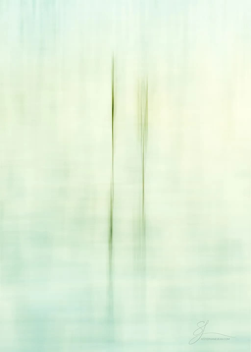 Quiet Reflections