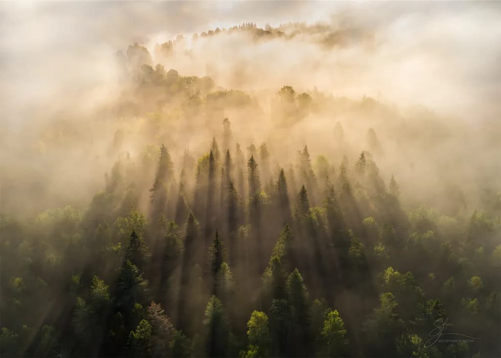 Morning Veil