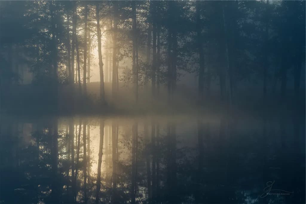 Morning Veil