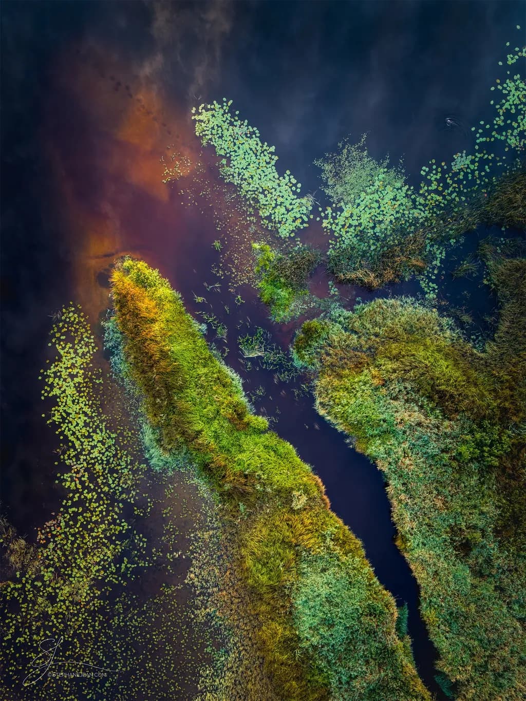 Moss and Water Harmony