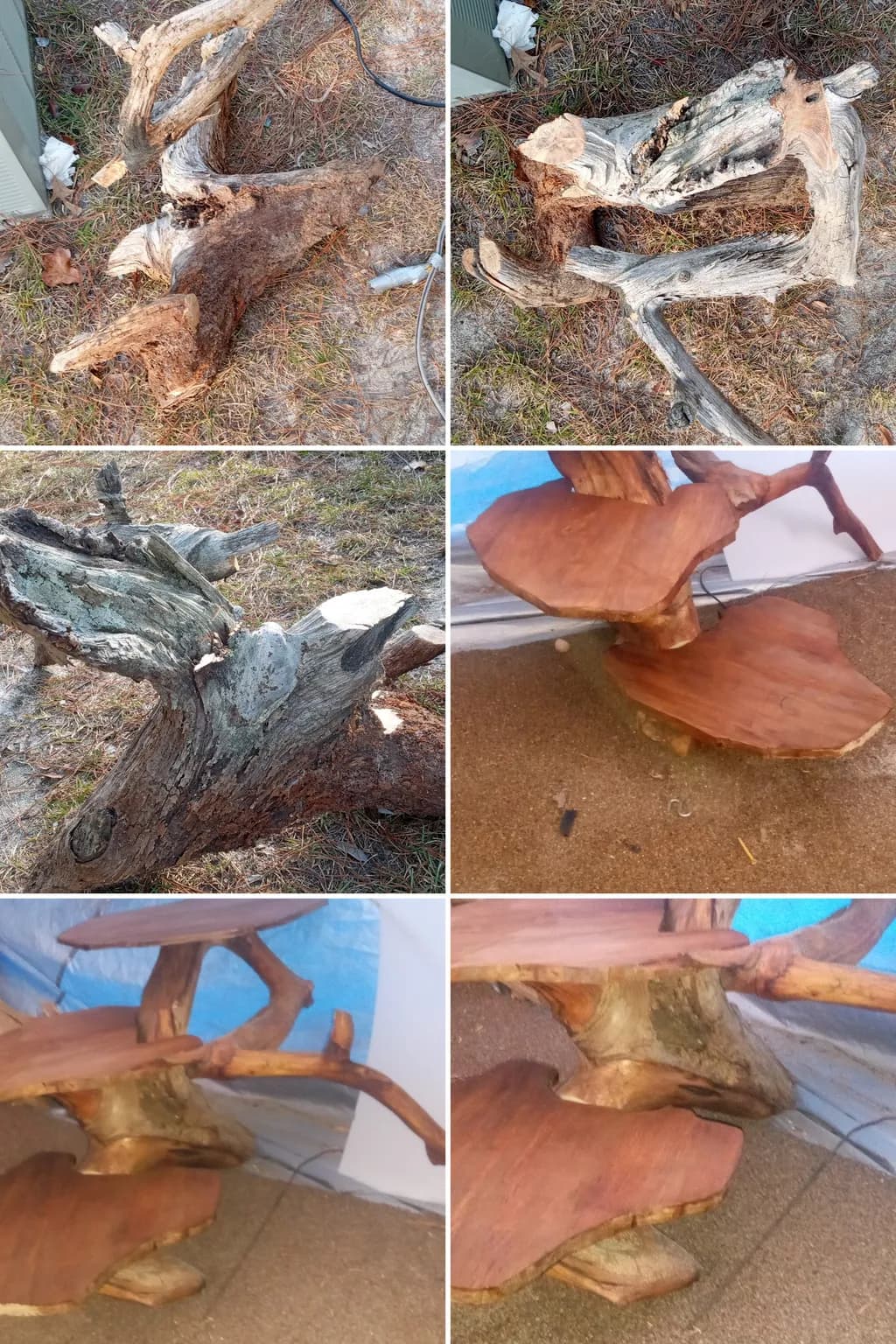 Whimsical Woodcraft: Nature's Artistry in Unique Textured Design