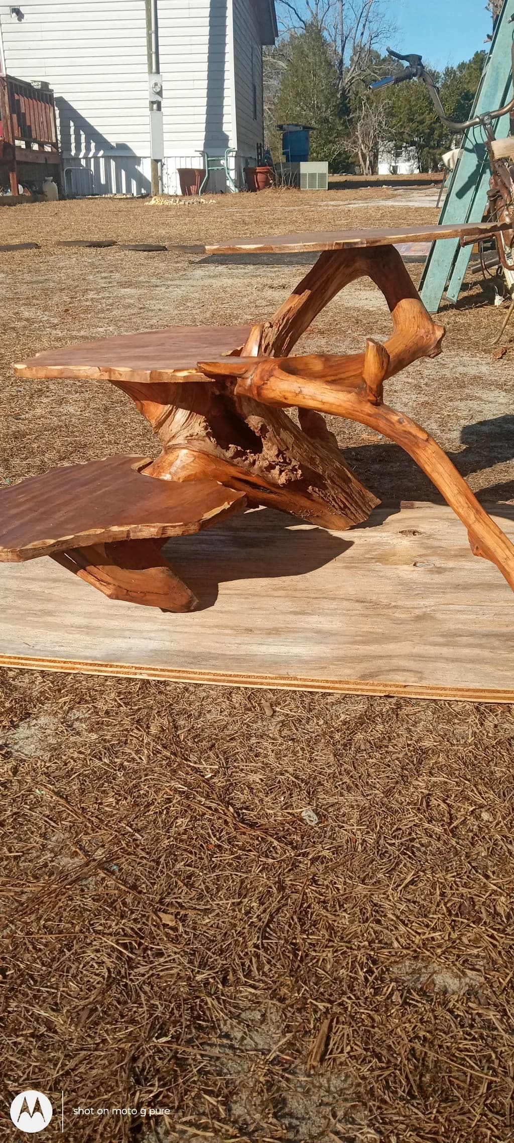 Whimsical Wood: A Nature-Inspired Sculptural Coffee Table for Unique Interiors
