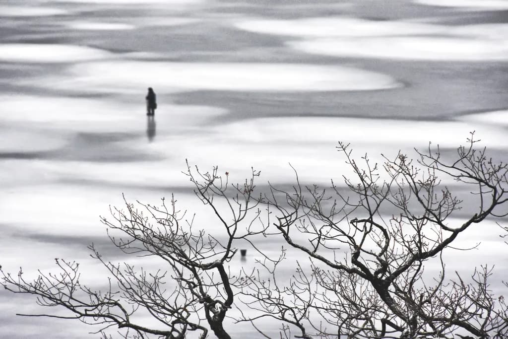 Frozen Lake Shadows