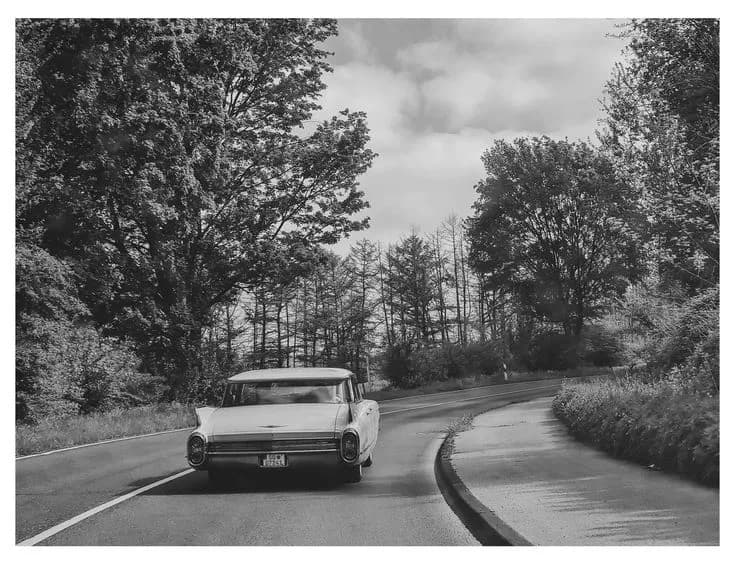 Vintage Journey: A Scenic Black and White Drive Through Timeless Trees