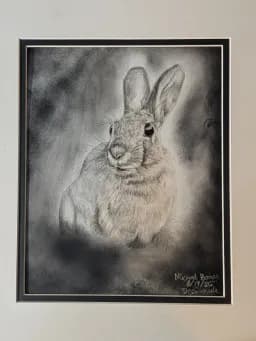 Quiet Cottontail 