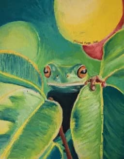 A Glimpse of the Rainforest