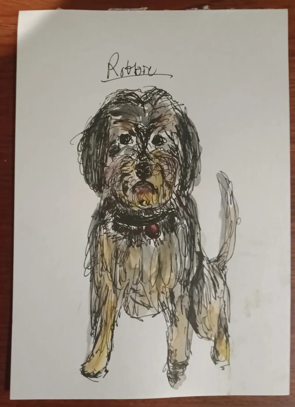 Whimsical Portrait of Robby: A Playful Canine Character in Ink and Color