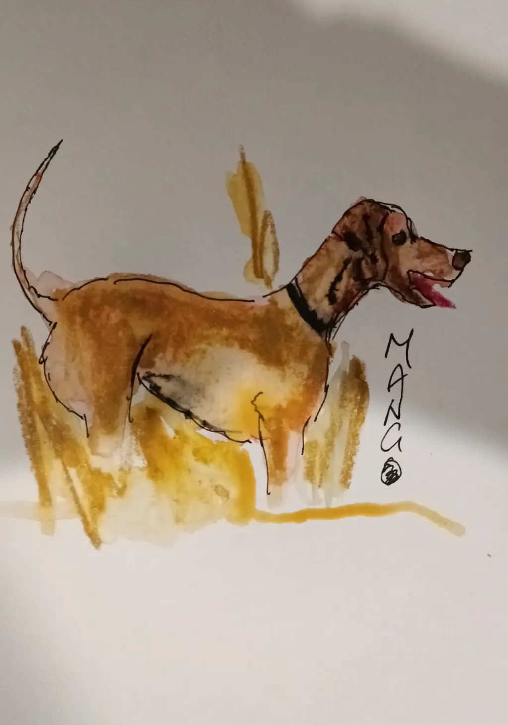 Playful Paws: A Whimsical Watercolor Dog Illustration